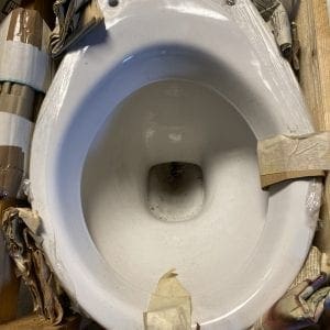 Toilet Bowl