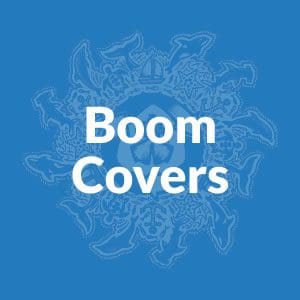 Boom Cover